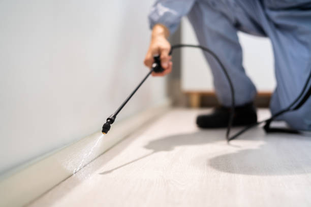Licensed Fumigation Services service in Marbleton, WY - Nex Pest Control