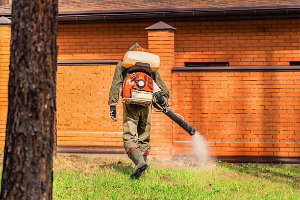 Trusted Rodent Control service in Marbleton, WY - Nex Pest Control